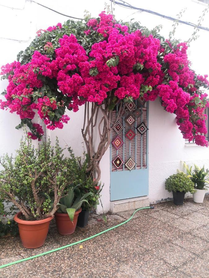 Corazon De Conil Apartment Conil De La Frontera Exterior photo